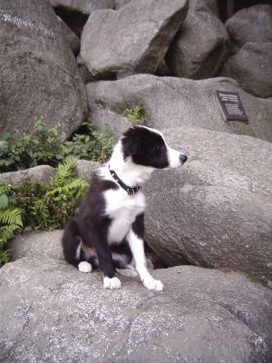 300Felsenmeer03-09-06 017.jpg